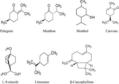 Prospective of Essential Oils of the Genus Mentha as Biopesticides: A Review